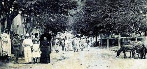 2396- Zemmorah - Avenue des Flittas2 - 1907